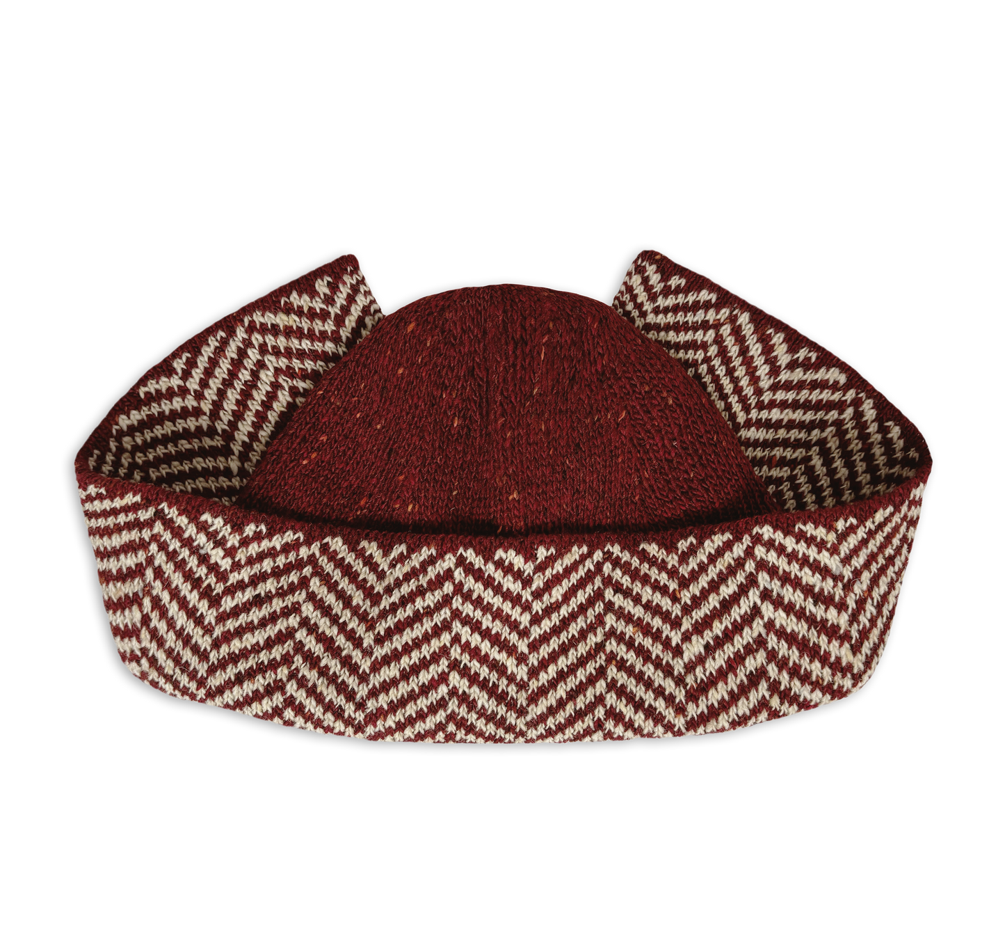 Herringbone Wings Hat