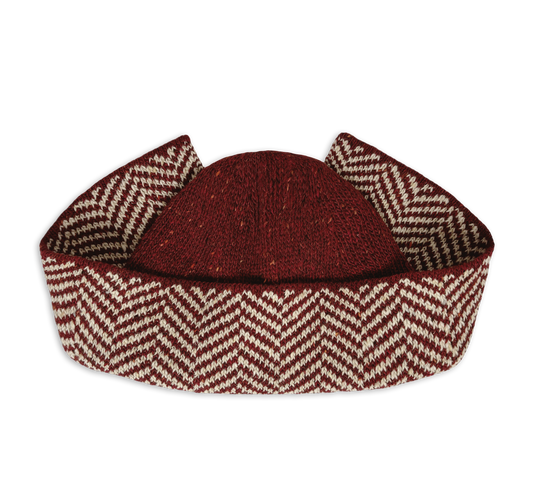 Herringbone Wings Hat